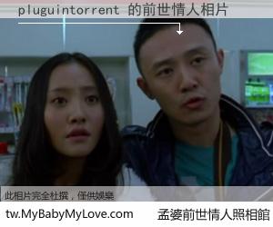 pluguintorrent 的前世情人