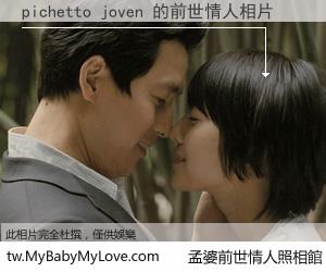 pichetto joven 的前世情人
