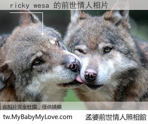 ricky wesa 的前世情人