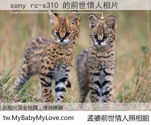 sony rc-s310 的前世情人