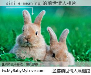 simile meaning 的前世情人