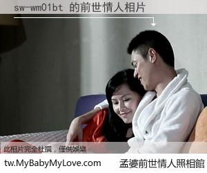 sw-wm01bt 的前世情人