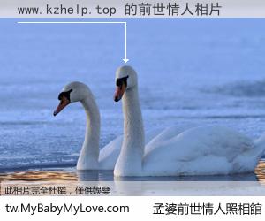 www.kzhelp.top 的前世情人