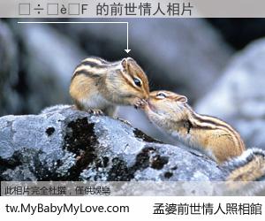 �����F 的前世情人