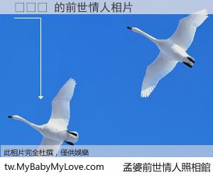 루시드 的前世情人