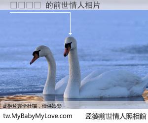 에이전시 的前世情人