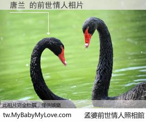 唐兰 的前世情人