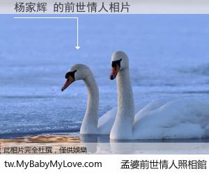 杨家辉 的前世情人