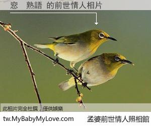 窓　熟語 的前世情人