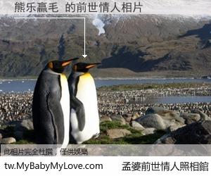熊乐赢毛 的前世情人