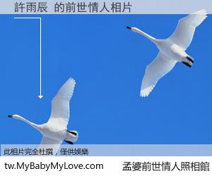 許雨辰 的前世情人