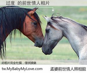 过度 的前世情人