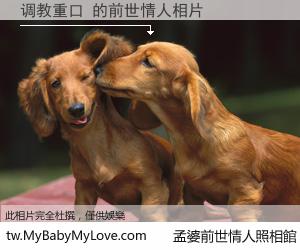 调教重口 的前世情人