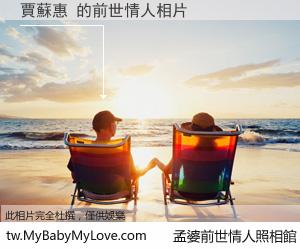 賈蘇惠 的前世情人