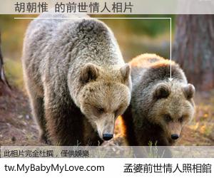 胡朝惟 的前世情人