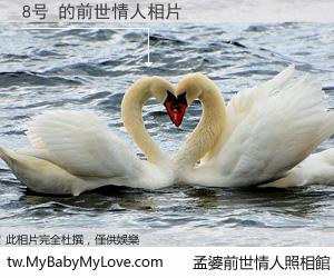8号 的前世情人