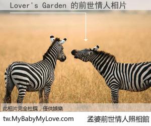 Lover's Garden 的前世情人