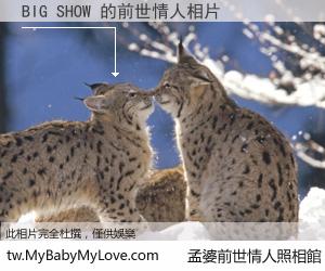 BIG SHOW 的前世情人