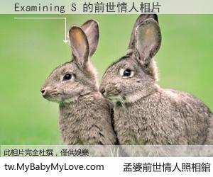 Examining S 的前世情人