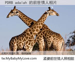 PDRB adalah 的前世情人