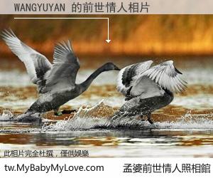 WANGYUYAN 的前世情人