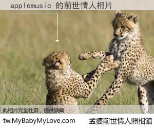 applemusic 的前世情人