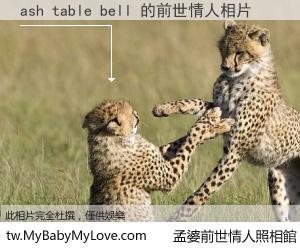 ash table bell 的前世情人