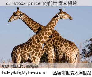 ci stock price 的前世情人