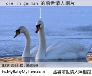 die in german 的前世情人
