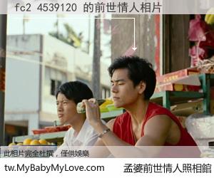 fc2 4539120 的前世情人