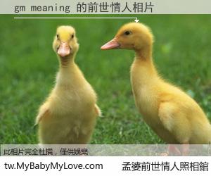 gm meaning 的前世情人