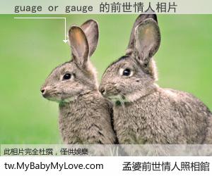guage or gauge 的前世情人