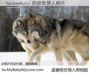 havasokulu 的前世情人