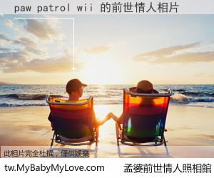 paw patrol wii 的前世情人