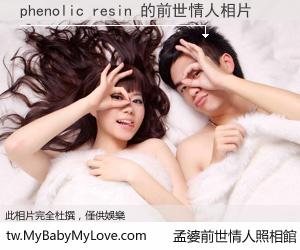 phenolic resin 的前世情人