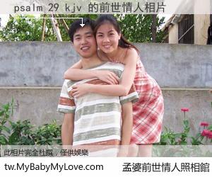psalm 29 kjv 的前世情人