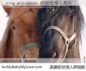 sing wikiqoute 的前世情人
