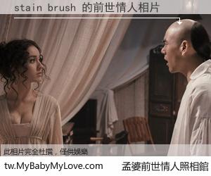 stain brush 的前世情人