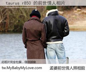 taurus r850 的前世情人