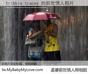 tribbie traces 的前世情人