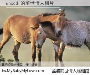unxdd 的前世情人
