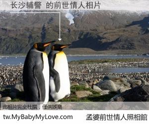 长沙辅警 的前世情人