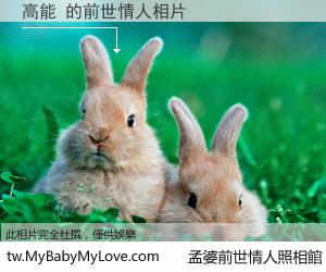 高能 的前世情人