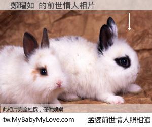 鄭曜如 的前世情人