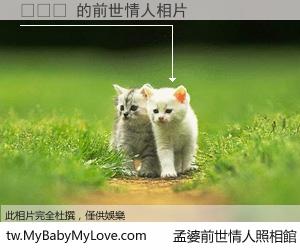 치ㅑㄷ 的前世情人