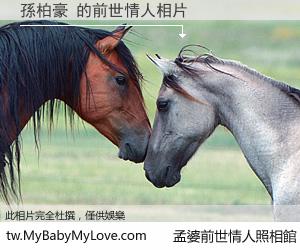 孫柏豪 的前世情人