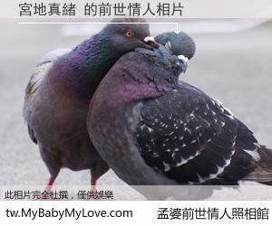 宮地真緒 的前世情人