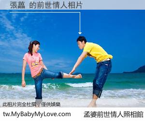 張藟 的前世情人