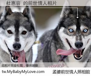 杜惠容 的前世情人