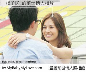 杨子民 的前世情人